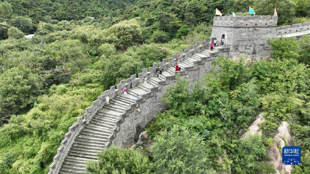 狮子老鹰游戏